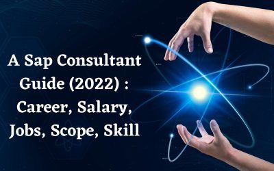 A Sap Consultant Guide 2022 : Career, Salary, Jobs, Scope, Skill