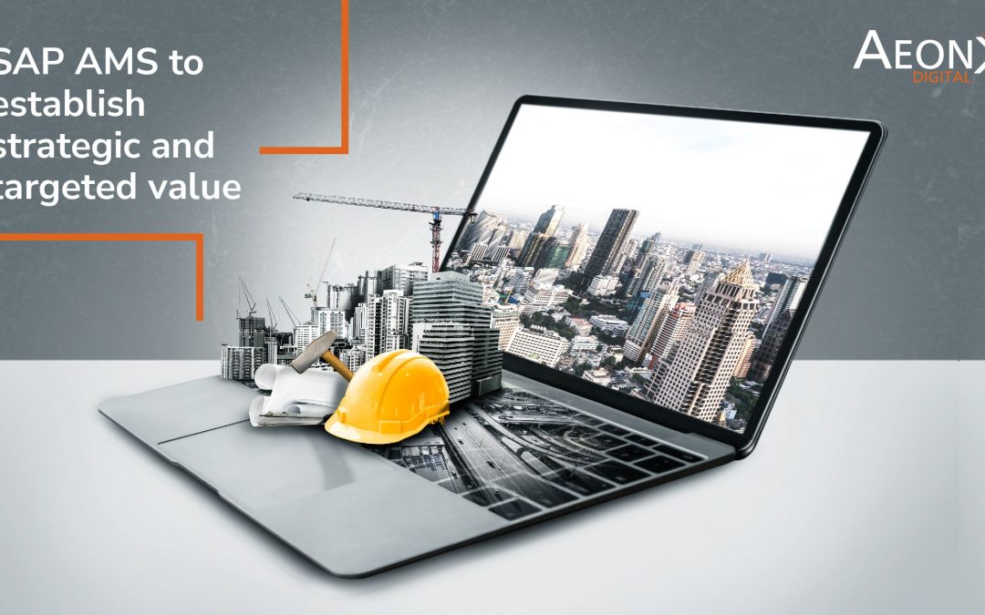 SAP AMS to establish strategic and targeted value.