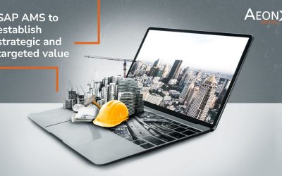 SAP AMS to establish strategic and targeted value.