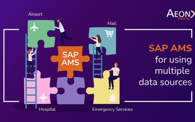 SAP AMS for using multiple data sources