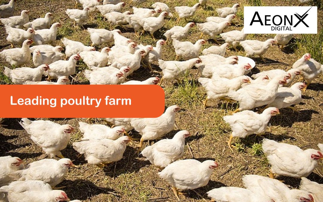 Leading poultry farm